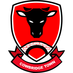 Cowbridge Town AFC badge